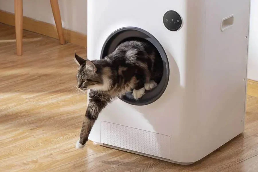 electronic cat litter box